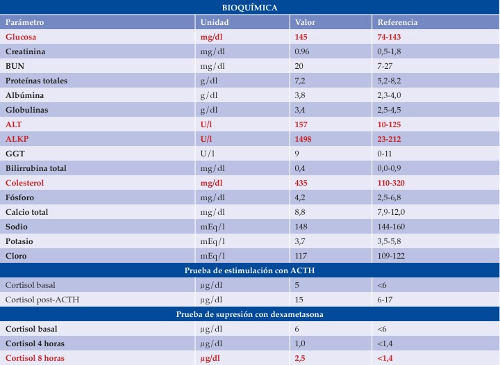 <p>BUN: <em>blood urea nitrogen</em>; ALT: alanino aminotransferasa; ALKP: fosfatasa alcalina; GGT: gamma glutamiltransferasa; ACTH: adrenocorticotropic hormone. En rojo aparecen los valores aumentados</p>