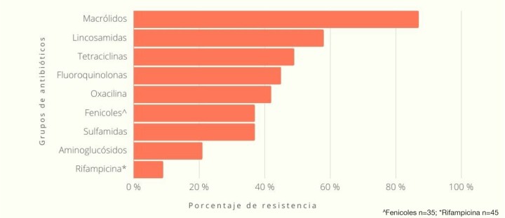 <p>Porcentaje de resistencia de los aislados de <em>Staphylococcus pseudintermedius</em> (n=119) frente a los distintos grupos de antibióticos testados.</p>