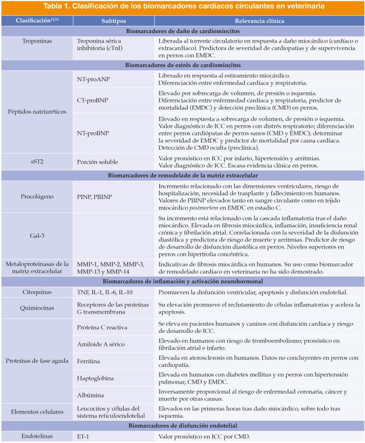 <p>CMD, cardiomiopatía dilatada; CT-proBNP, carboxilo-terminal propéptido atrial natriurético; cTnI, troponina sérica inhibitoria; EMDC, enfermedad mitral degenerativa crónica; ET-1, endotelina-1; Gal-3, galectina-3; ICC, insuficiencia cardíaca congestiva; MMP, metaloproteinasas de la matriz extracelular; NT-proANP, amino-terminal propéptido atrial natriurético; NT-proBNP, amino-terminal propéptido cerebral natriurético; PIIINP, procolágeno tipo III; PINP, procolágeno tipo I; sST2, porción soluble del factor supresor de tumorogénesis de tipo 2; TNF, factor de necrosis tumoral.</p>