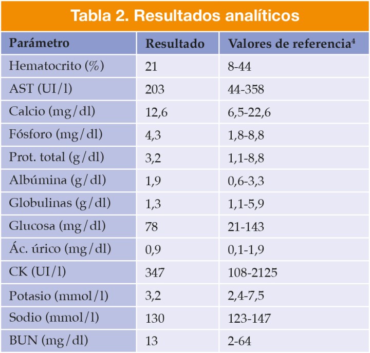 BUN: nitrógeno ureico sanguíneo. AST: Aspartato aminotransferasa. CK: Creatina quinasa.