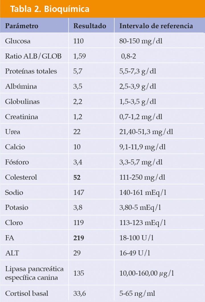 <p>ALT: alanina aminotransferasa; FA: fosfatasa alcalina; GLOB: globulinas; ALB: albúmina. Los valores en negrita se encuentran fuera del intervalo de referencia.</p>