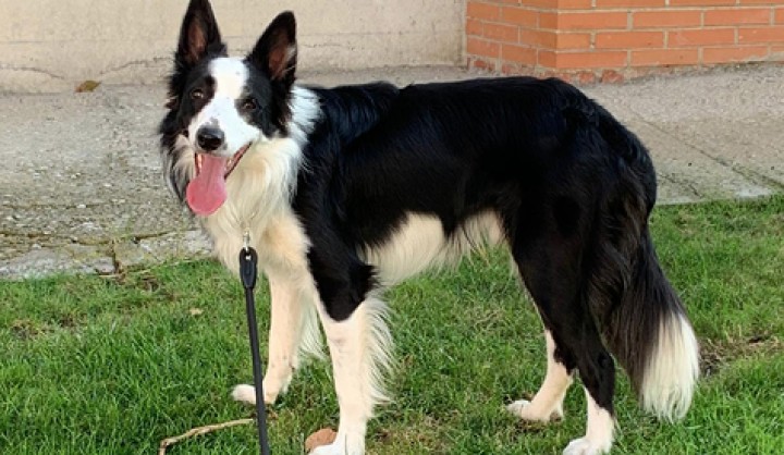 <p>Imagen de nuestro paciente 9 semanas después del inicio del tratamiento.</p>