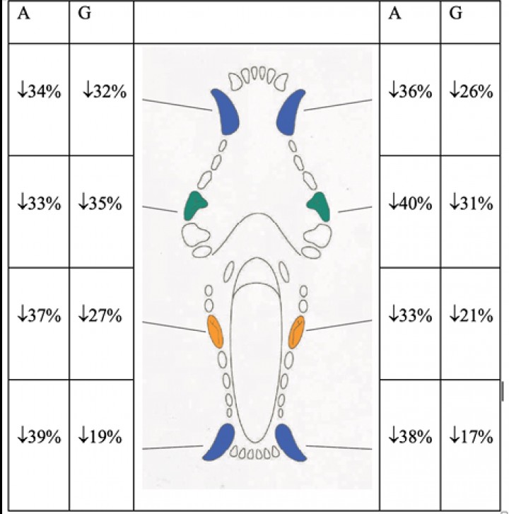 <p>Porcentaje de reducción del área (<strong>A</strong>) y grosor (<strong>G</strong>) de sarro en el día 120 del tratamiento.</p>
