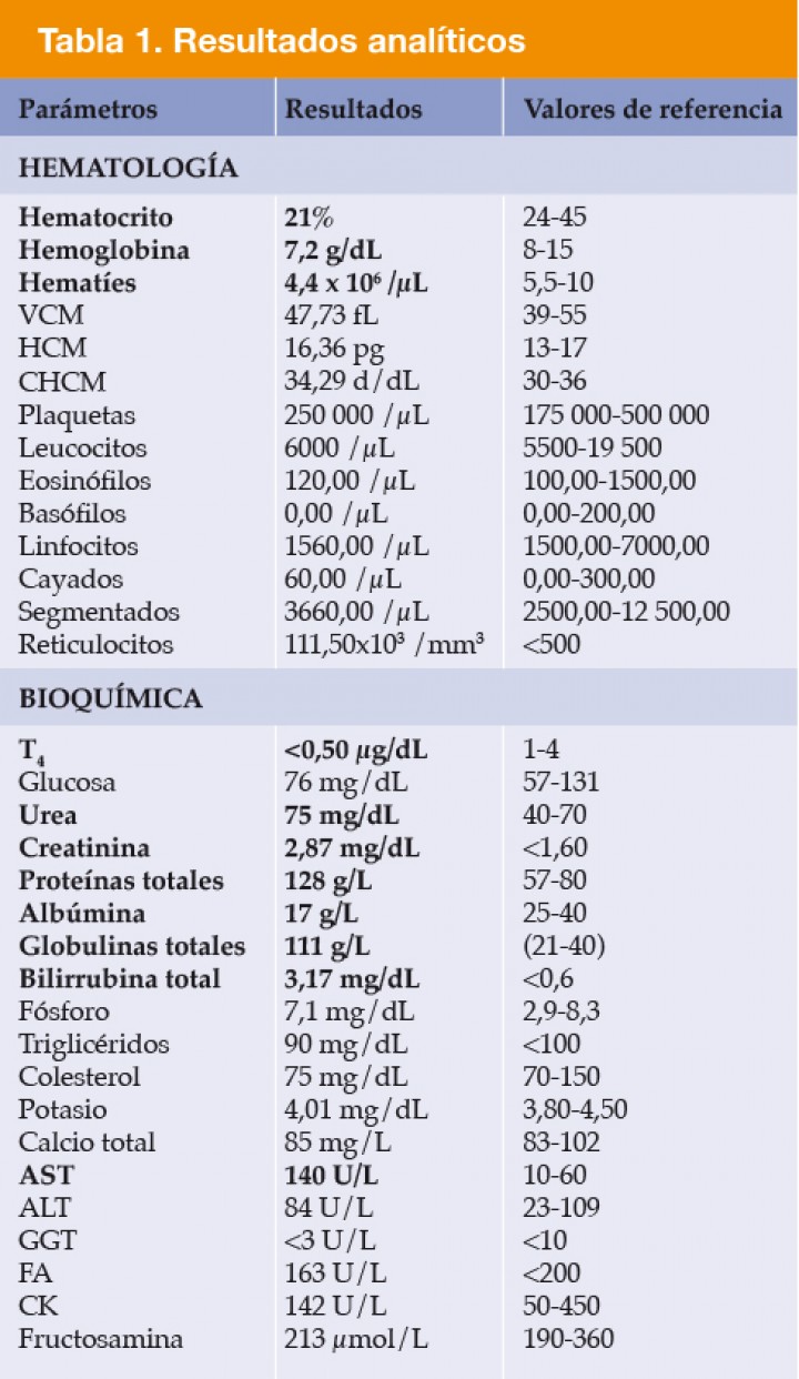 <p>VCM = volumen corpuscular medio; HCM= hemoglobina corpuscular media; CHCM = concentración hemoglobina corpuscular media; T4 = tiroxina total; AST= aspartato aminotransferasa; ALT= alanina aminotransferasa; GGT= gamma-glutamil transferasa; FA= fosfatasa alcalina; CK= creatinkinasa. Los valores en negrita están fuera del intervalo de referencia.</p>