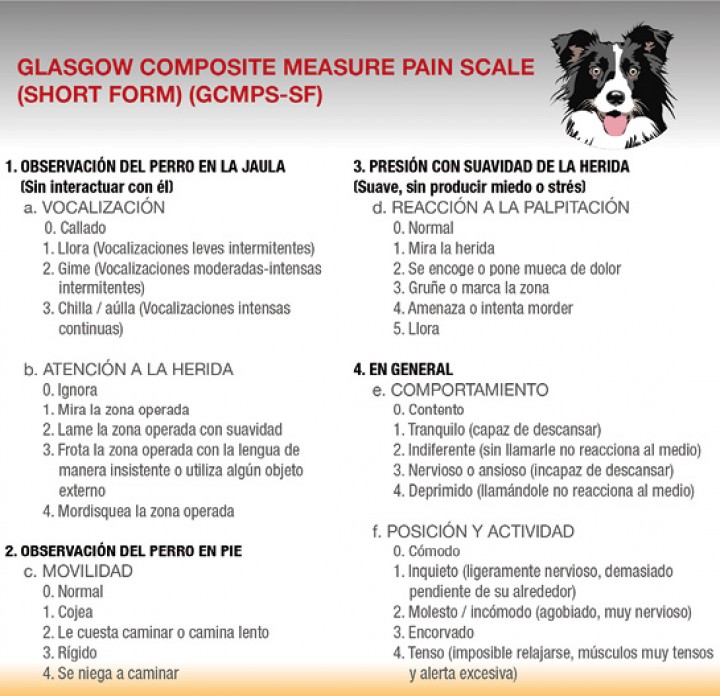 <p>Plantilla de valoración del dolor agudo postoperatorio mediante escala abreviada compuesta de evaluación del dolor de Glasgow</p>