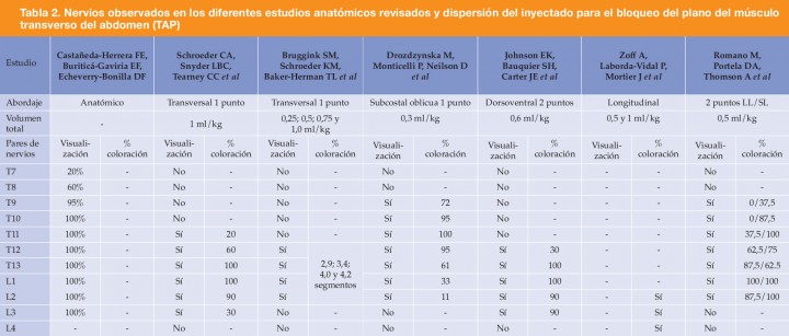 <div>
<p>LL: abordaje lateral/lateral; SL: abordaje subcostal/lateral.</p>
</div>
