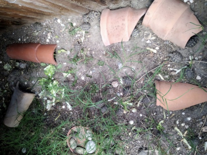 <p>Cercado uno (500 m<sup>2</sup>).</p>