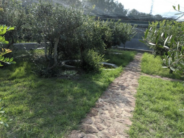 <p>Cercado dos (300 m<sup>2</sup>).</p>