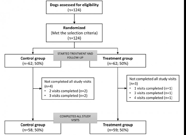 <p>Flow-chart of animal inclusion and allocation.</p>