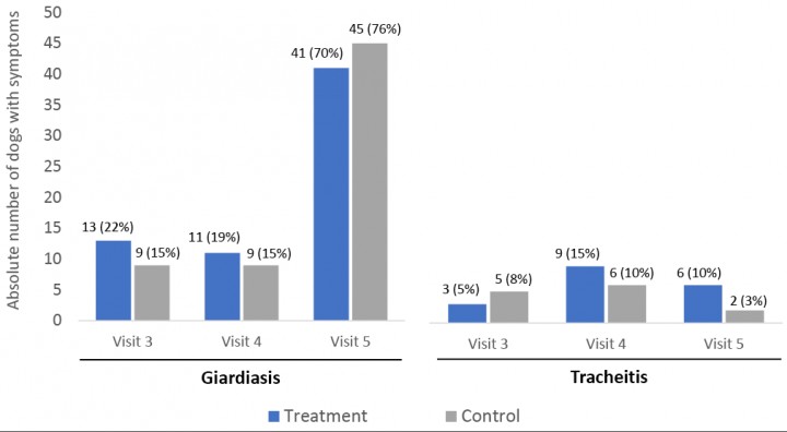 <p>Symptom onset of vaccine-targeted diseases in dogs that completed all study visits (n=117). Numbers correspond to the absolute frequency and percentage of dogs with any of the symptoms assessed for each disease (see Annex 1, Supplementary Methods). No symptoms related with infection with <em>Rickettsia</em>, parvovirus, and distemper were reported in either study group. No significant differences were found regarding the percentage of dogs experiencing symptoms in each group (<em>p</em>>0.05 for all inter-group comparisons).</p>