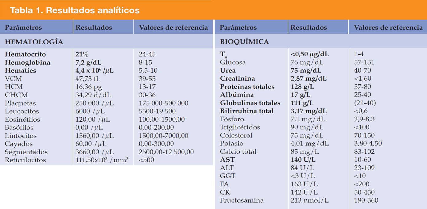 VCM = volumen corpuscular medio; HCM= hemoglobina corpuscular media; CHCM = concentración hemoglobina corpuscular media; T4 = tiroxina total; AST= aspartato aminotransferasa; ALT= alanina aminotransferasa; GGT= gamma-glutamil transferasa; FA= fosfatasa alcalina; CK= creatinkinasa. Los valores en negrita están fuera del intervalo de referencia.