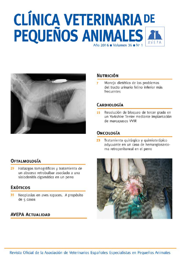 Portada revista veterinaria