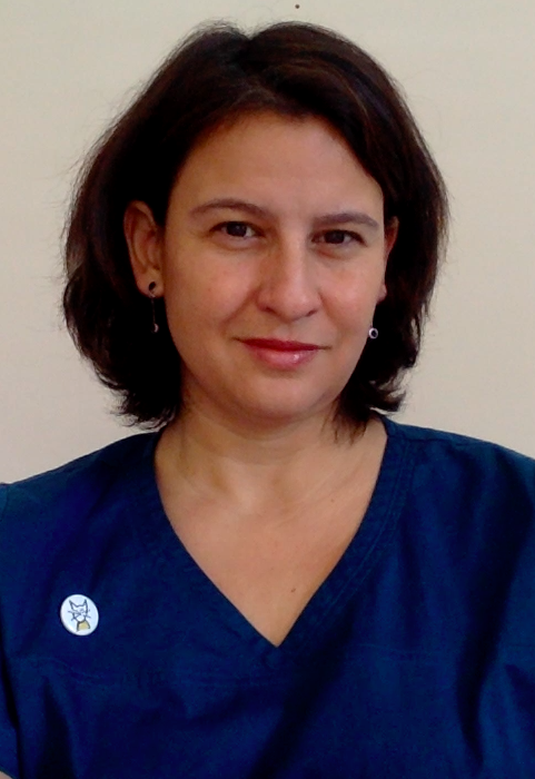 Hipertensión arterial sistémica, cistitis idiopática, diabetes mellitus tipo ...