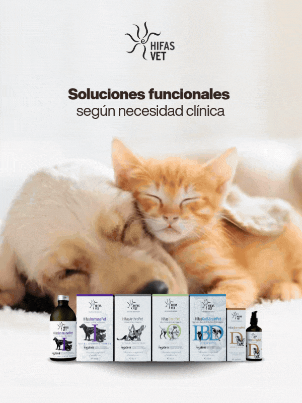 Hifasvet - Soluciones funcionales