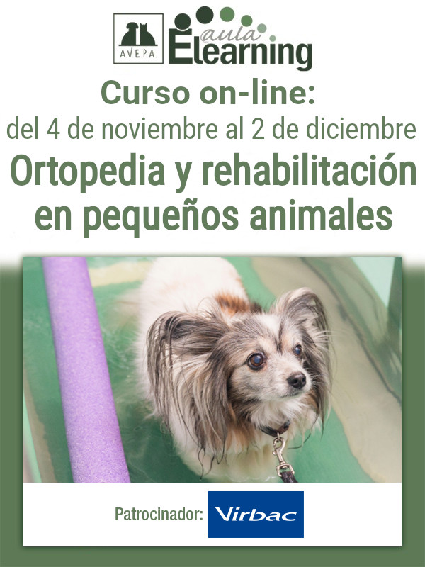 Curso Ortopedia 2026