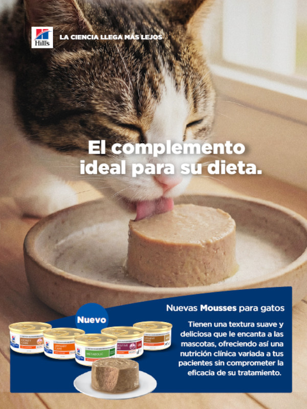 Hills - Wet Diet Cat