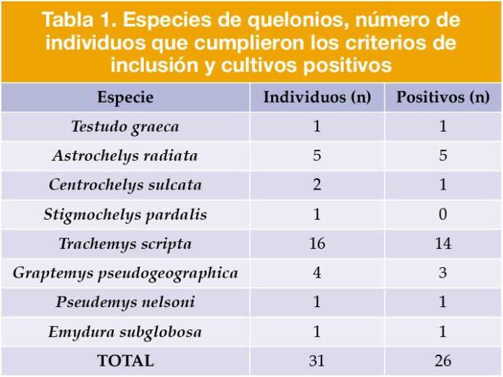 Especies de quelonios, número de individuos que cumplieron los criterios de inclusión y cultivos positivos