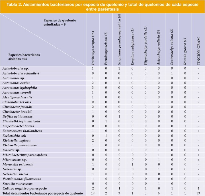 Aislamientos bacterianos por especie de quelonio y total de quelonios de cada especie entre paréntesis
