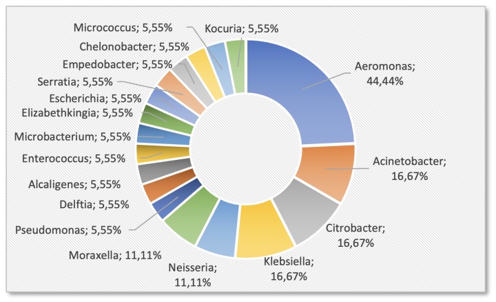 Porcentaje de géneros de bacterias aislados.