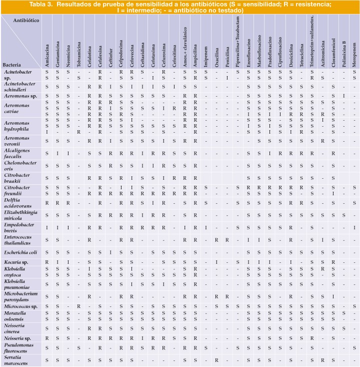 Resultados de prueba de sensibilidad a los antibióticos (S = sensibilidad; R = resistencia; I = intermedio; - = antibiótico no testado)