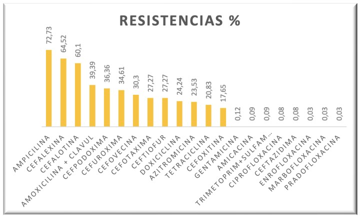 Porcentaje de resistencia de las bacterias a los antibióticos en el total de quelonios.