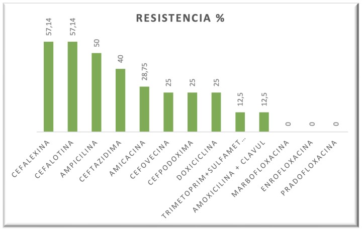 Porcentaje de resistencia de las bacterias a los antibióticos en quelonios terrestres.