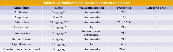 Antibióticos de uso frecuente en quelonios
