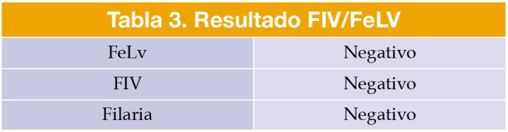 Resultado FIV/FeLV