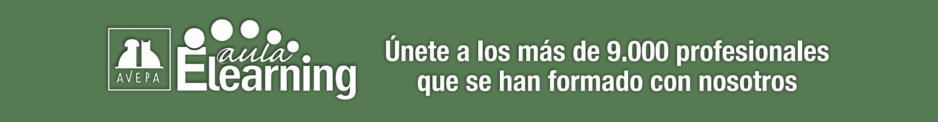 Campaña E-learning Avepa - Banner superior