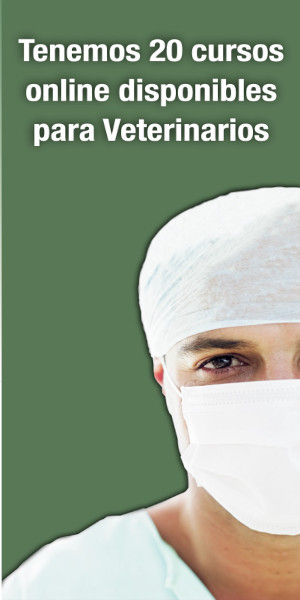 Campaña E-learning Avepa - Banner lateral izquierdo