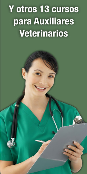 Campaña E-learning Avepa - Banner lateral derecho