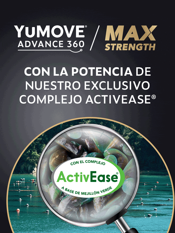Yumove Distrivet