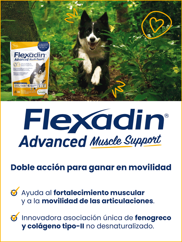 Flexadin Vetoquinol