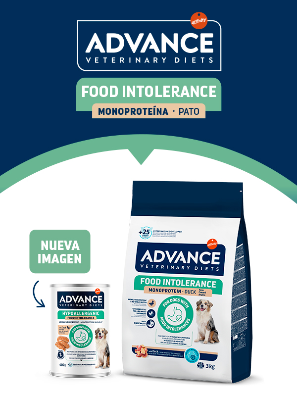 Advance Affinity - Intolerance Duck