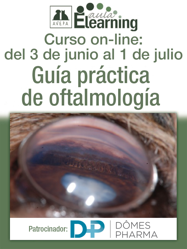Curso Oftalmología 2026