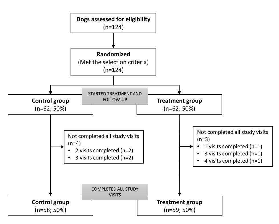 Flow-chart of animal inclusion and allocation.